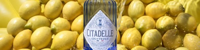 citadelle-gin-recipe