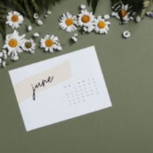 Design-sans-titre-1-260x170