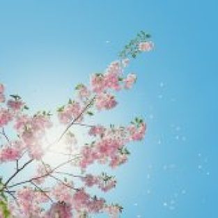 anders-jilden-O85h02qZ24w-unsplash-260x170