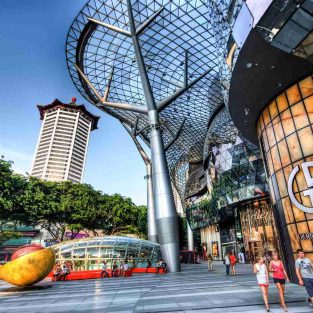 orchard-best-french-shops